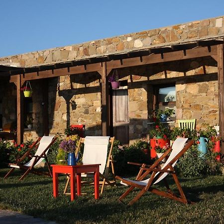 הוילה בוזקאדה Harmani Tatil Ciftligi מראה חיצוני תמונה